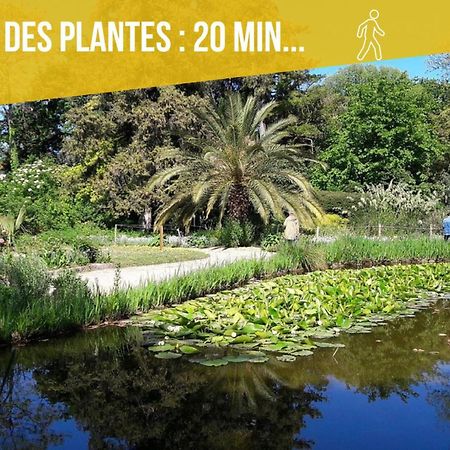 Amja Proche Clinique Saint-Roch Apt 3 Chambres 3 Salles De Bain Parking Gratuit Ideal Famille Groupe Coworking 10 Min Centre Ville 10 Min Plage 5 Min Sortie Autoroute มงต์เปอลิเยร์ ภายนอก รูปภาพ