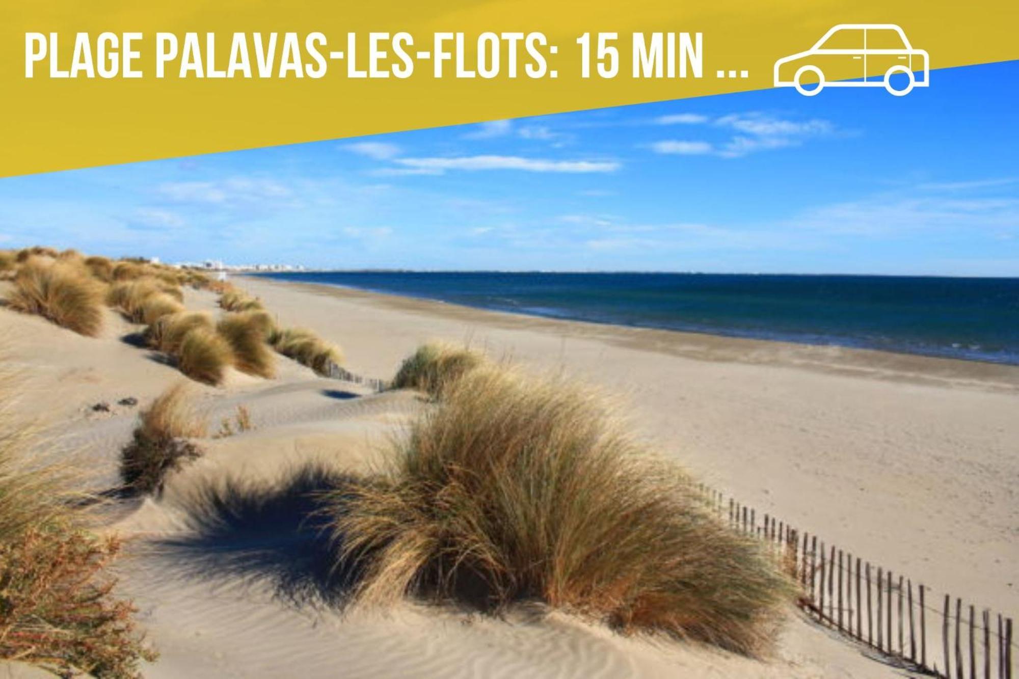 Amja Proche Clinique Saint-Roch Apt 3 Chambres 3 Salles De Bain Parking Gratuit Ideal Famille Groupe Coworking 10 Min Centre Ville 10 Min Plage 5 Min Sortie Autoroute มงต์เปอลิเยร์ ภายนอก รูปภาพ